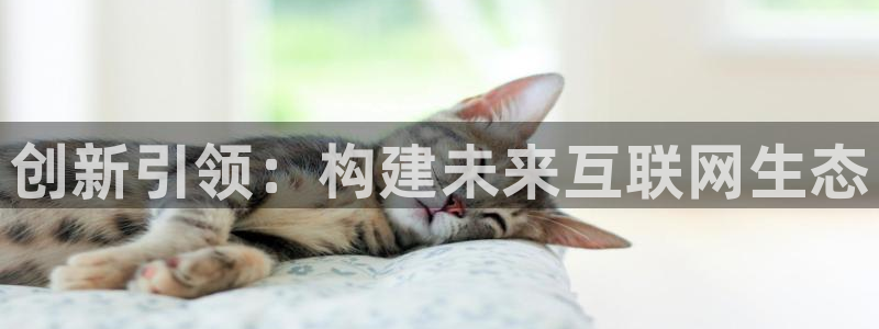 天狮娱乐然