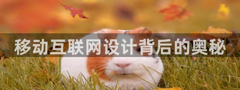 天狮娱乐直招64681