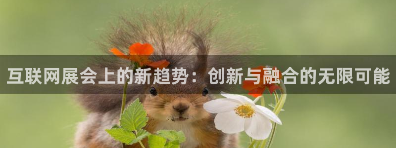 天狮娱乐扣扣29229