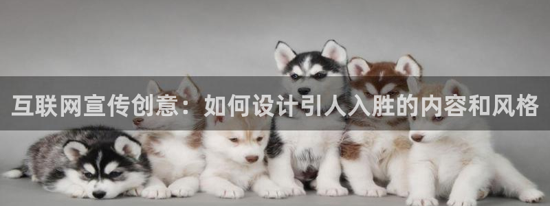 天狮娱乐 注