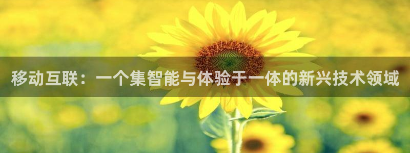 天狮娱乐然