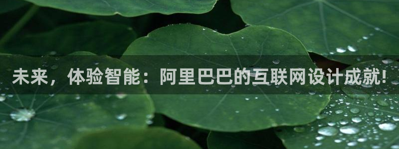 天狮娱乐代理制度