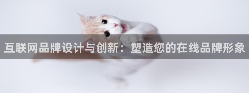 天狮娱乐靠谱吗：互联网品牌设计