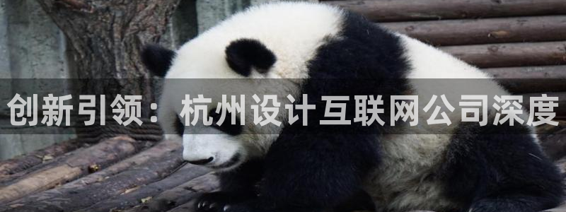 天狮娱乐怎么玩法