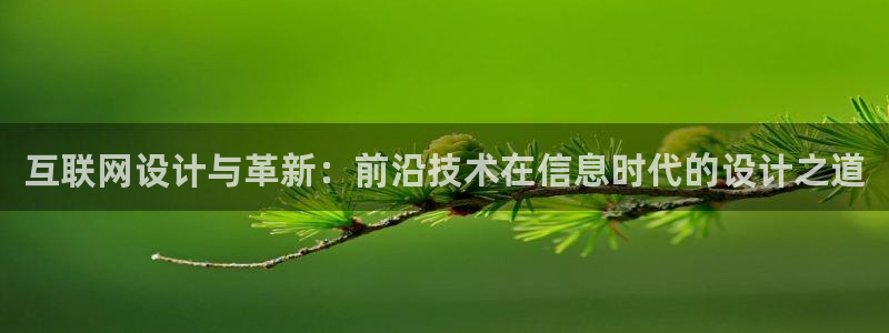 天狮娱乐强哥：互联网设计与革新