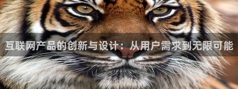 天狮娱乐行