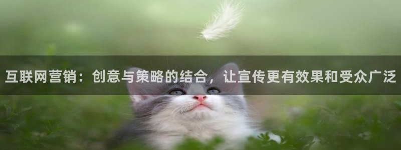 天狮娱乐d 判官：互联网营销：