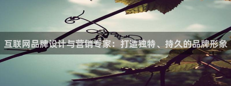 天狮娱乐真的吗：互联网品牌设计
