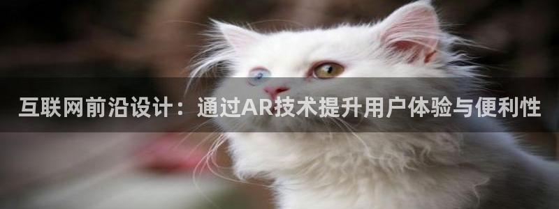 天狮娱乐待遇怎么样：互联网前沿