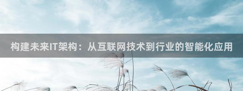 天狮娱乐彩票玩法：构建未来IT