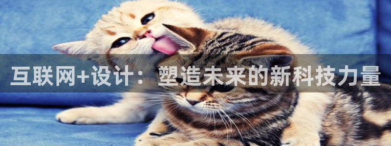 天狮娱乐最高待遇