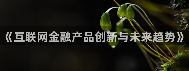 天狮娱乐注册71009