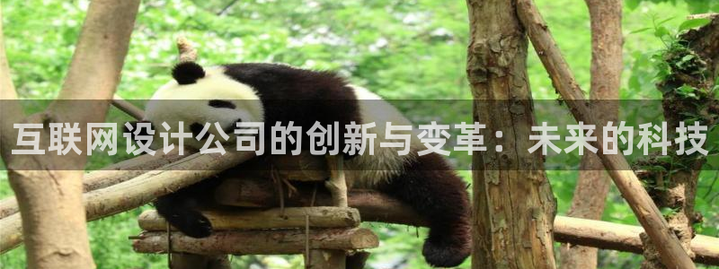 天狮娱乐 31661股z东