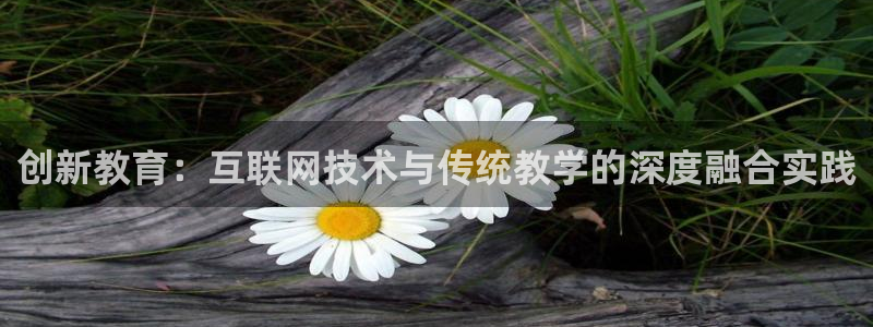 天狮娱乐950954
