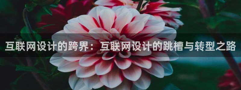 天狮娱乐如