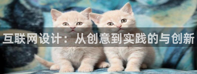 天狮娱乐鱼刺A软件：互联网设计