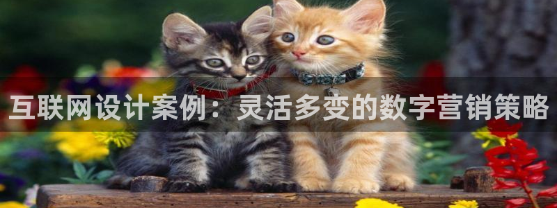 天狮娱乐如：互联网设计案例：灵